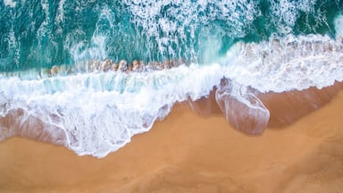 Just a tiny walk from Zimbali lodge is this incredible beach with beautiful views of the ocean for as far as the eye can see. I hope to go back one day soon!