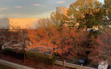 Visit Vienna 22 Travel Guide For Vienna Virginia Expedia Visit Vienna 22 Travel Guide For Vienna Virginia Expedia