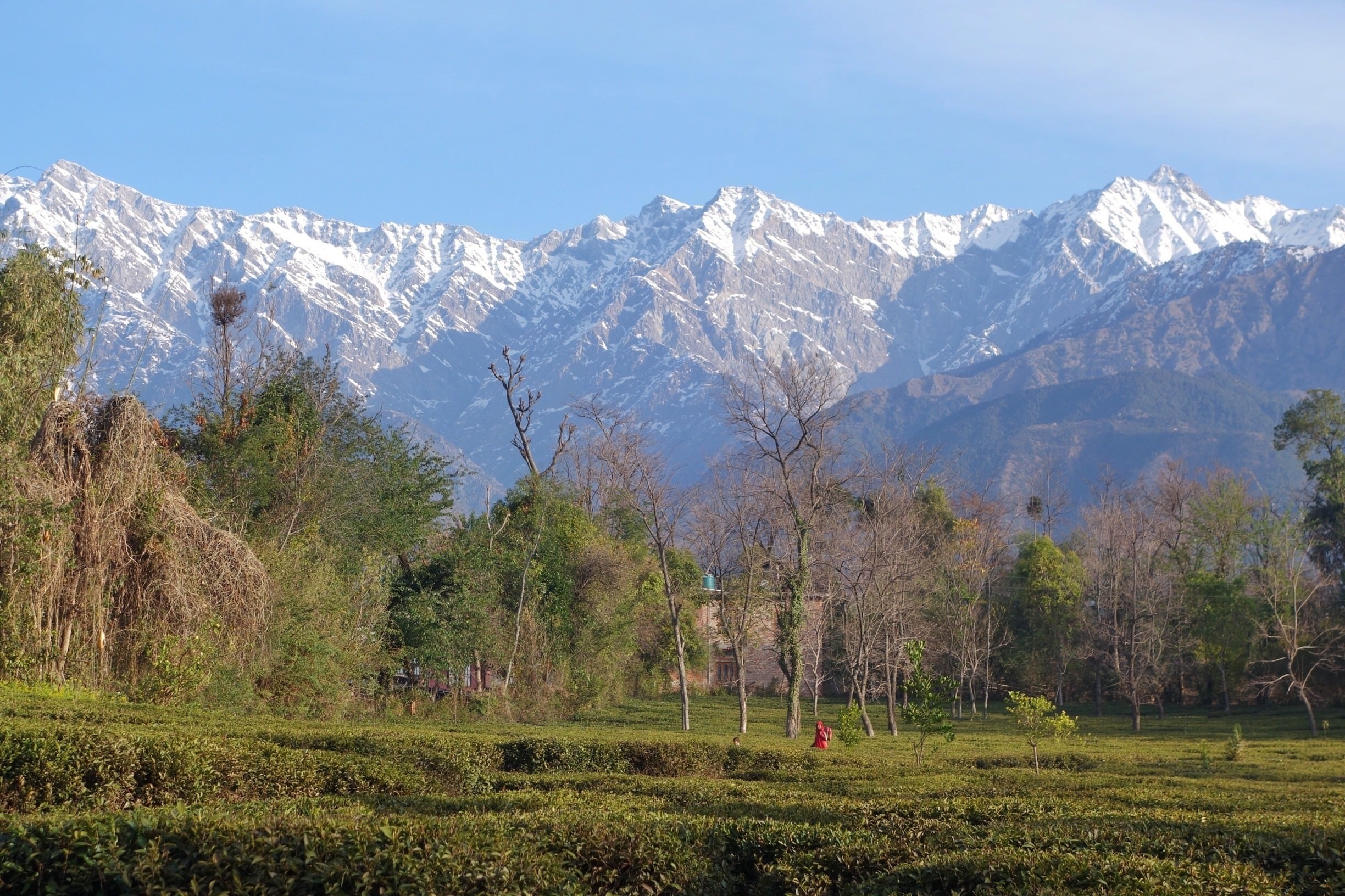 Top 10 Hotels In Palampur For 2020 Expedia India