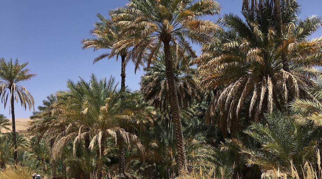 Wadi Bani Khalid, Gobernación Ash Sharqiyah Norte, Omán