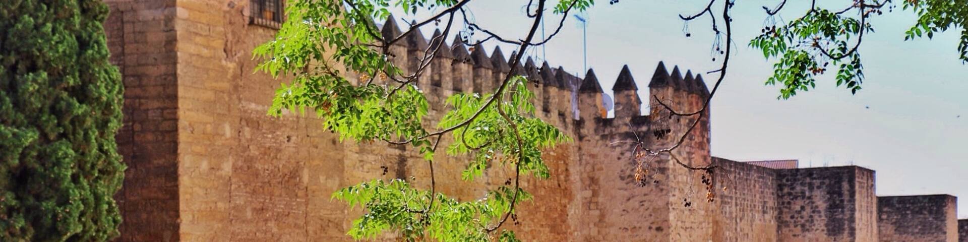 Huerta del Rey Vallellano, Córdoba, Andalusia, Spain