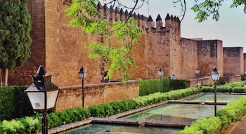 Just outside the puerta almodovar in the judería is the calle cairuán, a beautiful street along the medieval walls of the city with fountains and pools.