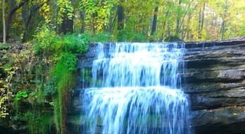 Waterdown falls along Bruce trail