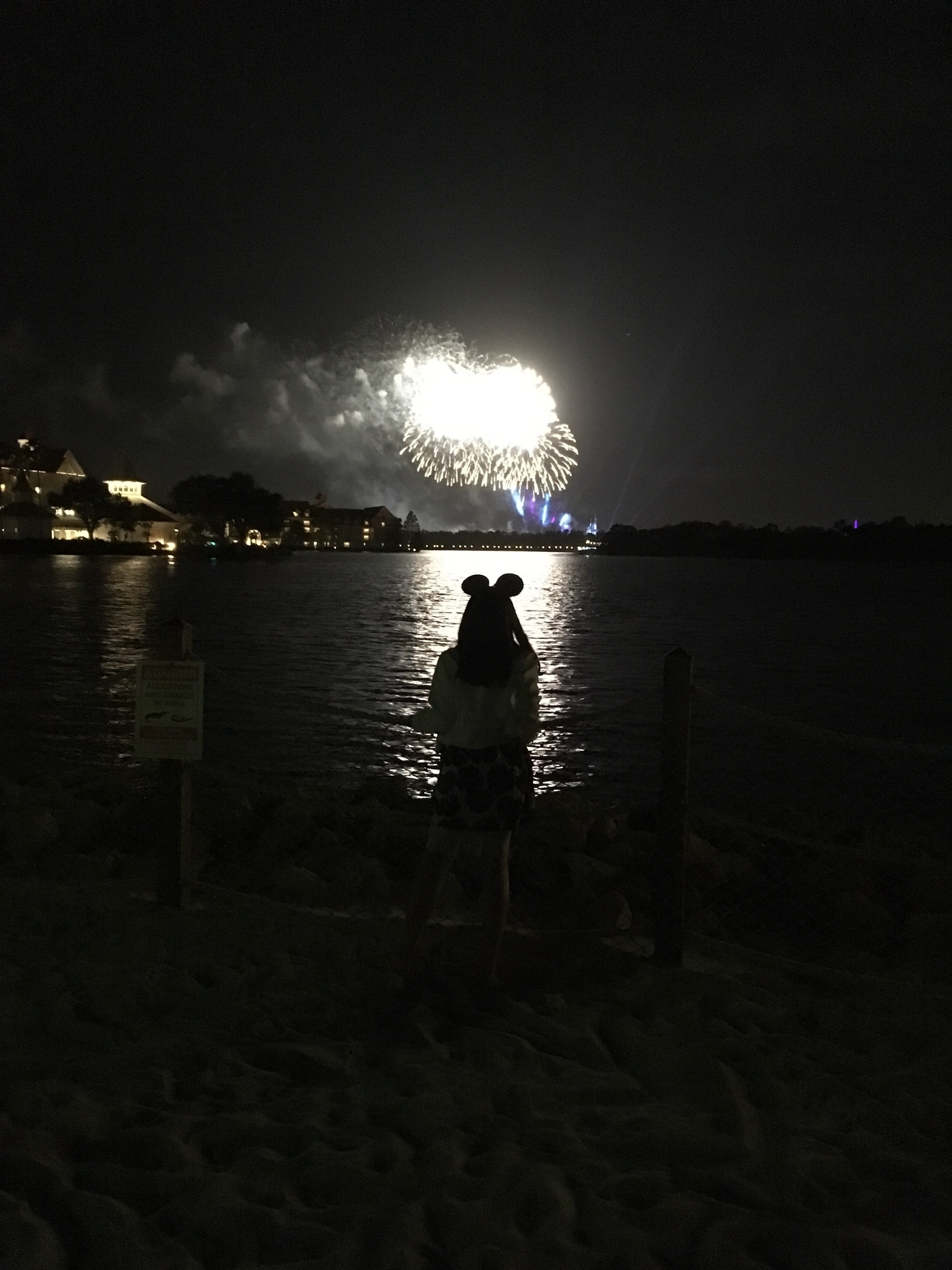 Viewing Magic Kingdom fireworks from the Polynesian resort beach!