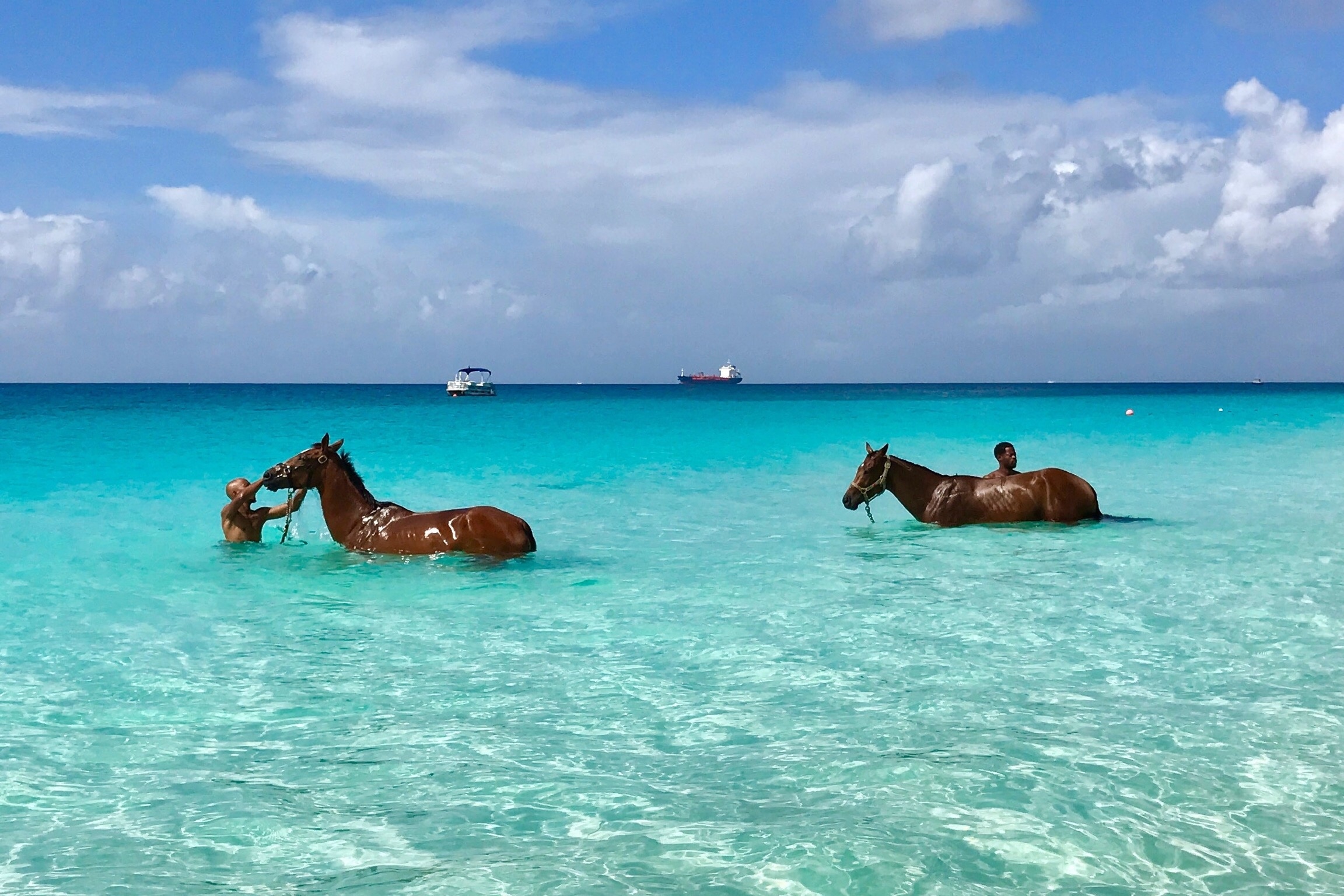 Even race horses need a spa day! 🇧🇧🐎 #BeachBound
