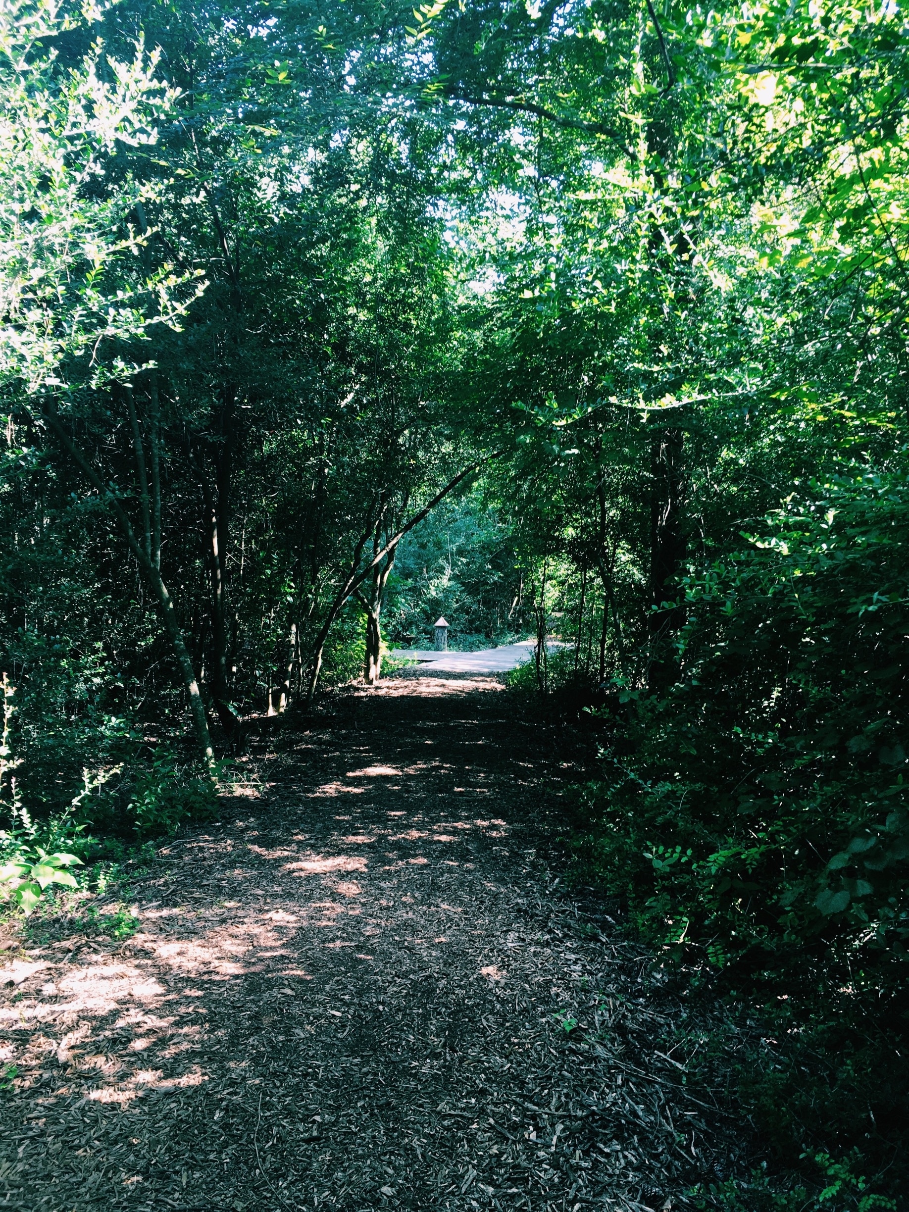 arboretum mall on Visit Houston Arboretum And Nature Center In Houston Expedia
