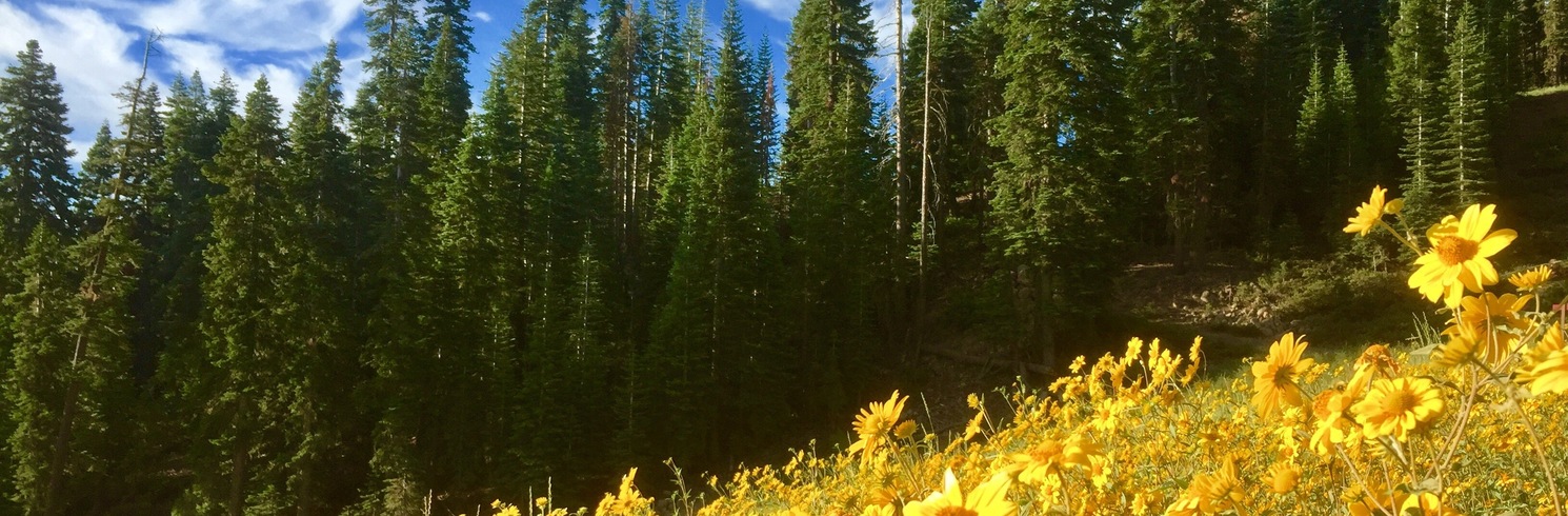 Truckee, California, United States of America
