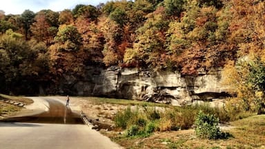 Hiking at Ledges in Autumn. Miles of hiking trails through thick forests and jagged rocky ledges.