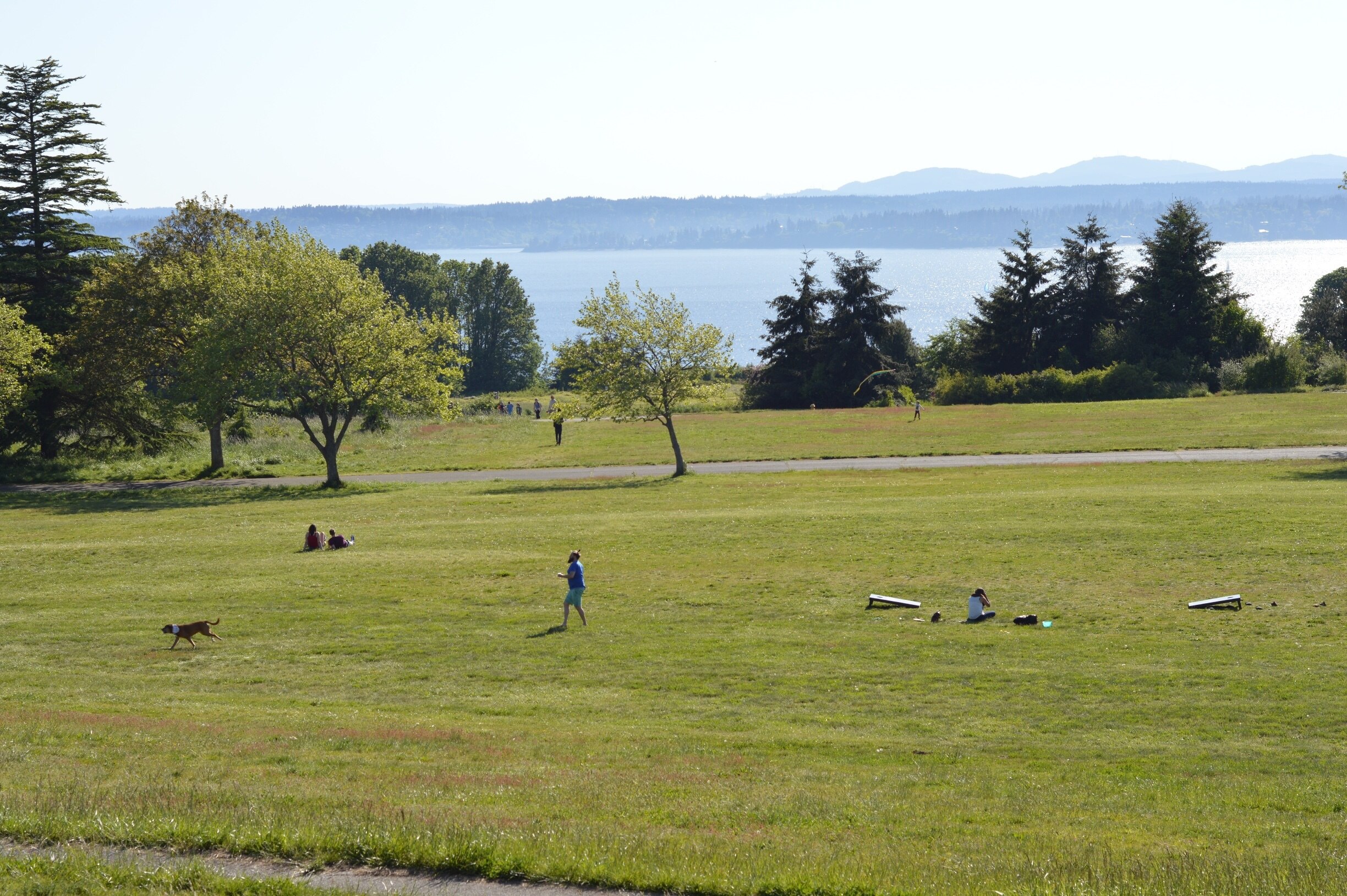 Discovery Park in Magnolia - Tours and Activities | Expedia