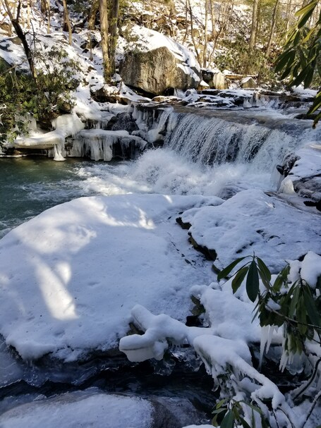 value: "One of 3 waterfalls along this rail trail. The begin about a mile in from this trail head. Very flat trail that goes for miles. Great for biking n hiking."
