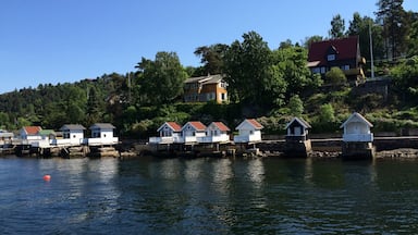 Summer houses nearby Oslo