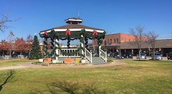 On a visit to the city, I looked up the downtown area in Carrollton because that's where our hotel was. I was not disappointed to find this "small town" kind of downtown with antiques and specialty shops. It was a beautiful addition to our trip.  