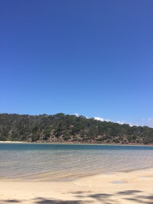 Pambula river on a sunny day. Crystal clear water, so clear you could see the fish! Definitely recommend this quiet spot for a sun bake ☀️ or a fish 🎣