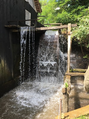 If interested in seeing a more than a century old mill, you'll have to come and visit.