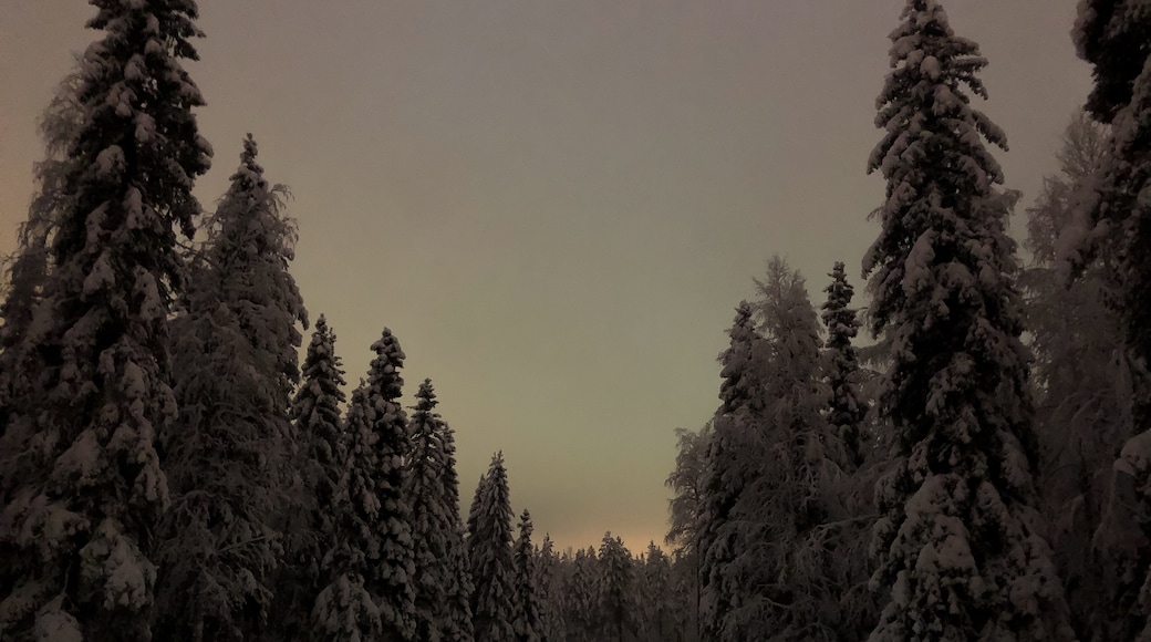 Parque temático Santa Claus Village, Rovaniemi, Laponia, Finlandia
