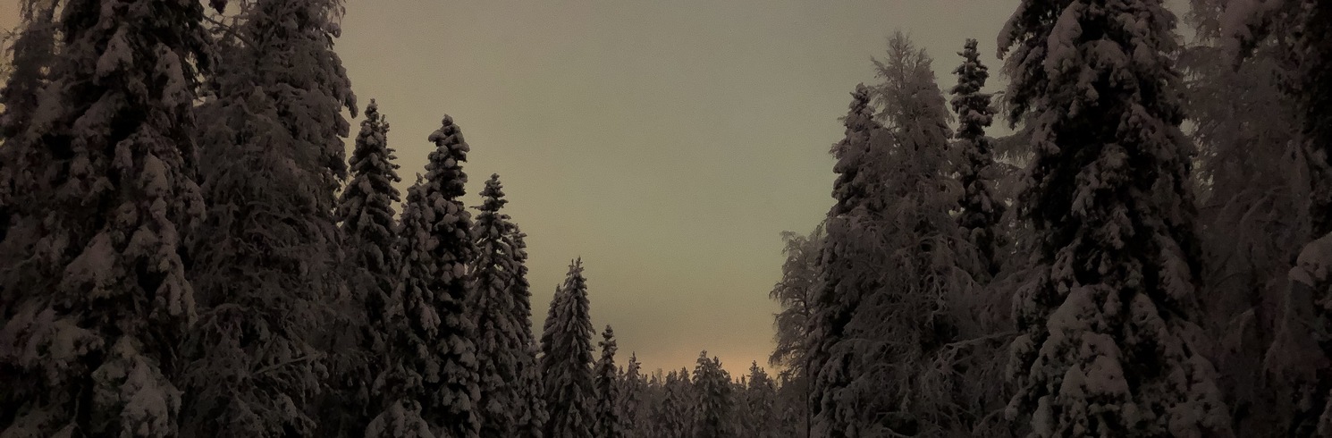 סנטה קלאוס וילג', פינלנד