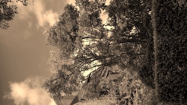 I used a sepia lens filter to capture this image of the house situation in the grounds of Sissinghurst Castle Garden.