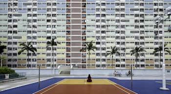 Hong Kong is one of the most densely populated places in the world. There are a loot of mass housing estates, some of them looking incredible from the outside