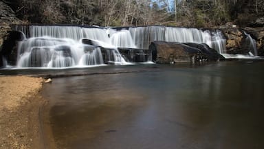 One of my favorite places.  View a video guide of it here:  https://www.hdcarolina.com/episode/riley-moore-falls
#waterfall
