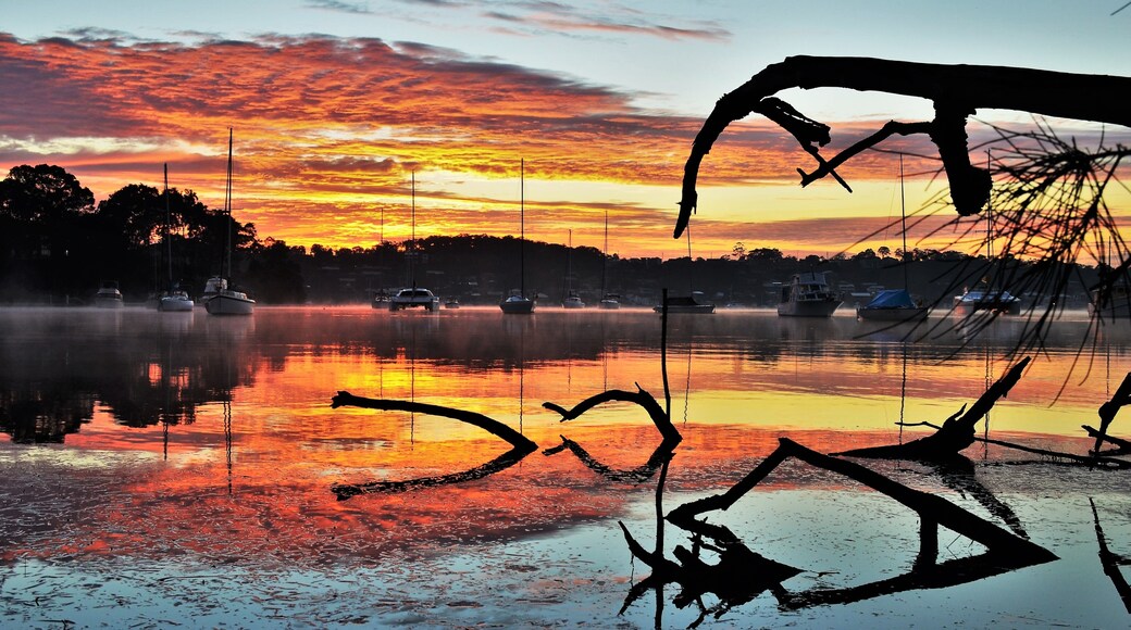 Photo by Ian Smith