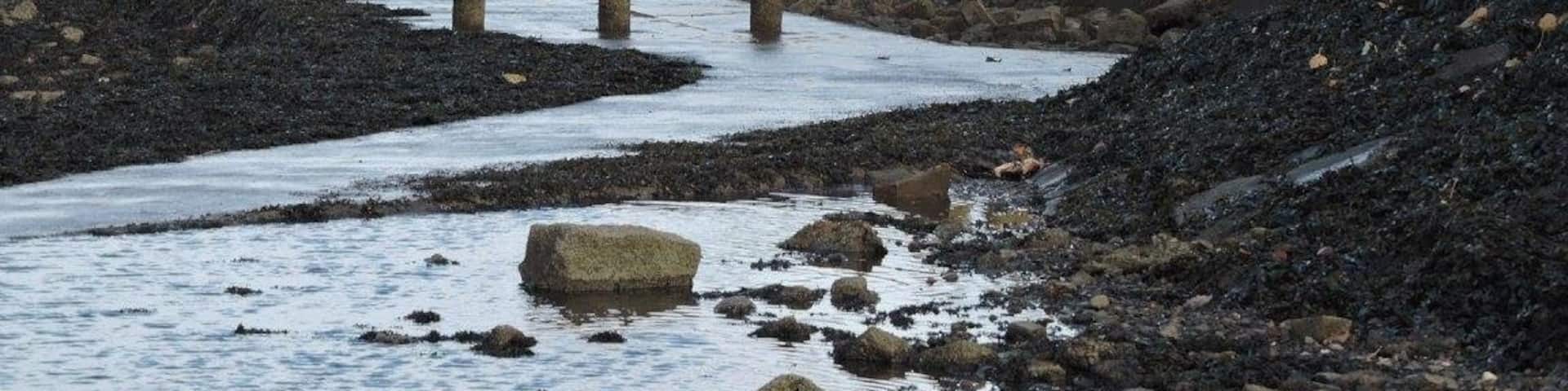 Definitely a must visit. I would recommend going when it's warmer unlike myself who is here right now