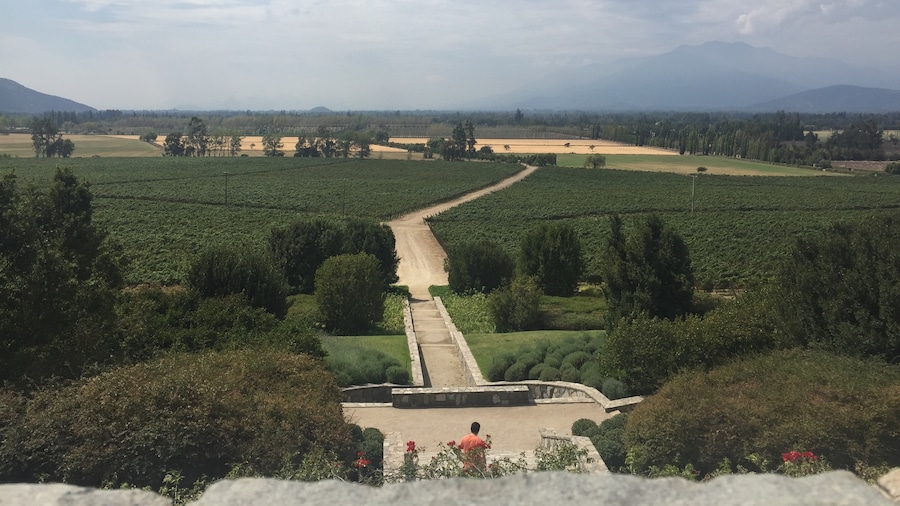 Viña Haras de Pirque