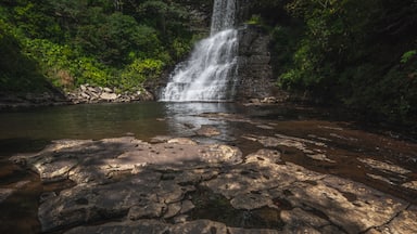The Cascade waterfall on a nice summer day in Pembroke VA. #Adventure


#waterfall #virginia #landscape #photography #appalachian