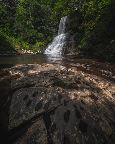 value: "The Cascade waterfall on a nice summer day in Pembroke VA. #Adventure\n\n\n#waterfall #virginia #landscape #photography #appalachian"
