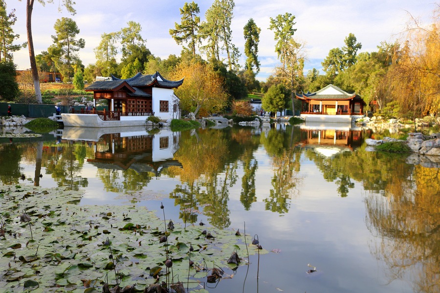 The Chinese garden
