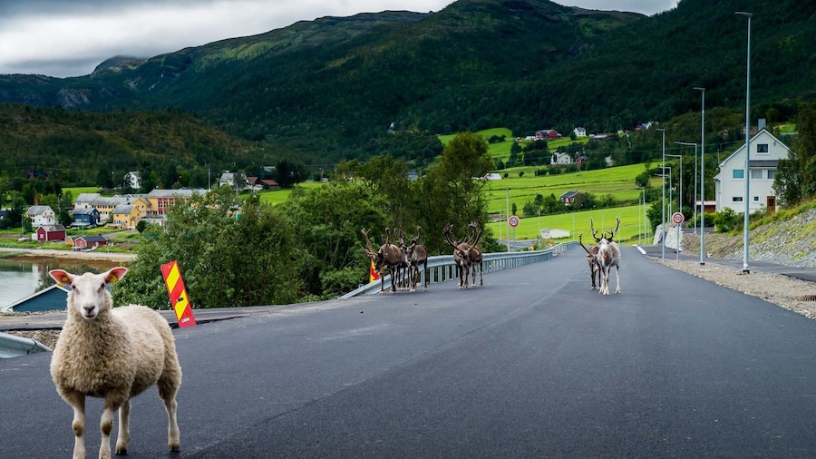 Valle Reisadalen