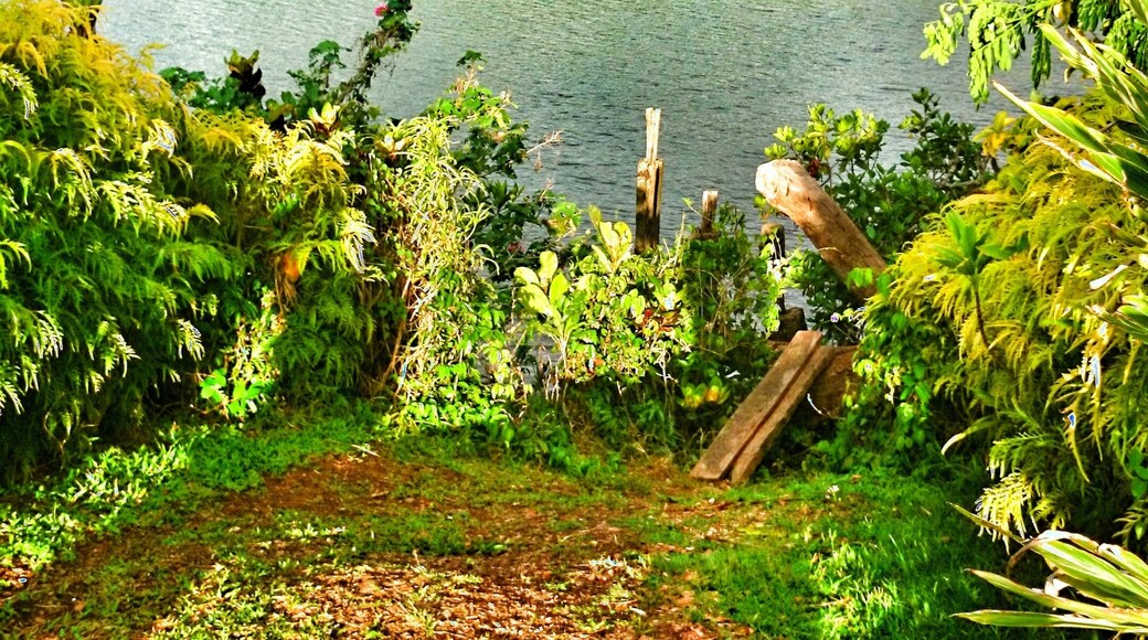 Photo by Martina Donkers