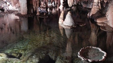 Lily Pad room in Onondaga Caves in Missouri.  This is a beautiful room.  If you enjoy spelunking, come here.  