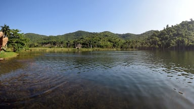 14 tesoros naturales para visitar en Cuba
http://www.onlinetours.es/blog/post/569/14-tesoros-naturales-para-visitar-en-cuba
El mayor país del Caribe acoge una gran riqueza natural distribuida por todo su territorio, con alrededor del 20 por ciento administrado bajo alguna forma de protección ambiental. Desde oriente hasta occidente, a lo largo de la isla principal, en los cientos de cayos que lo definen como archipiélago y los mares circundantes, ostentan paisajes maravillosos, espectaculares variedades de la flora y la fauna con elevados niveles de endemismo...