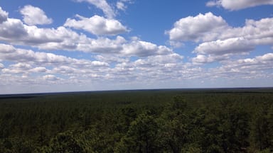 The view from Apple Pie Hill fire tower. On a clear day you can see clear across the state from the Atlantic City skyline to Philadelphia.