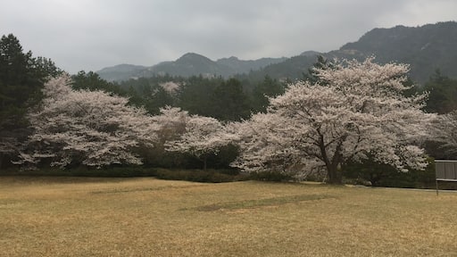 사진 제공: 영우 정