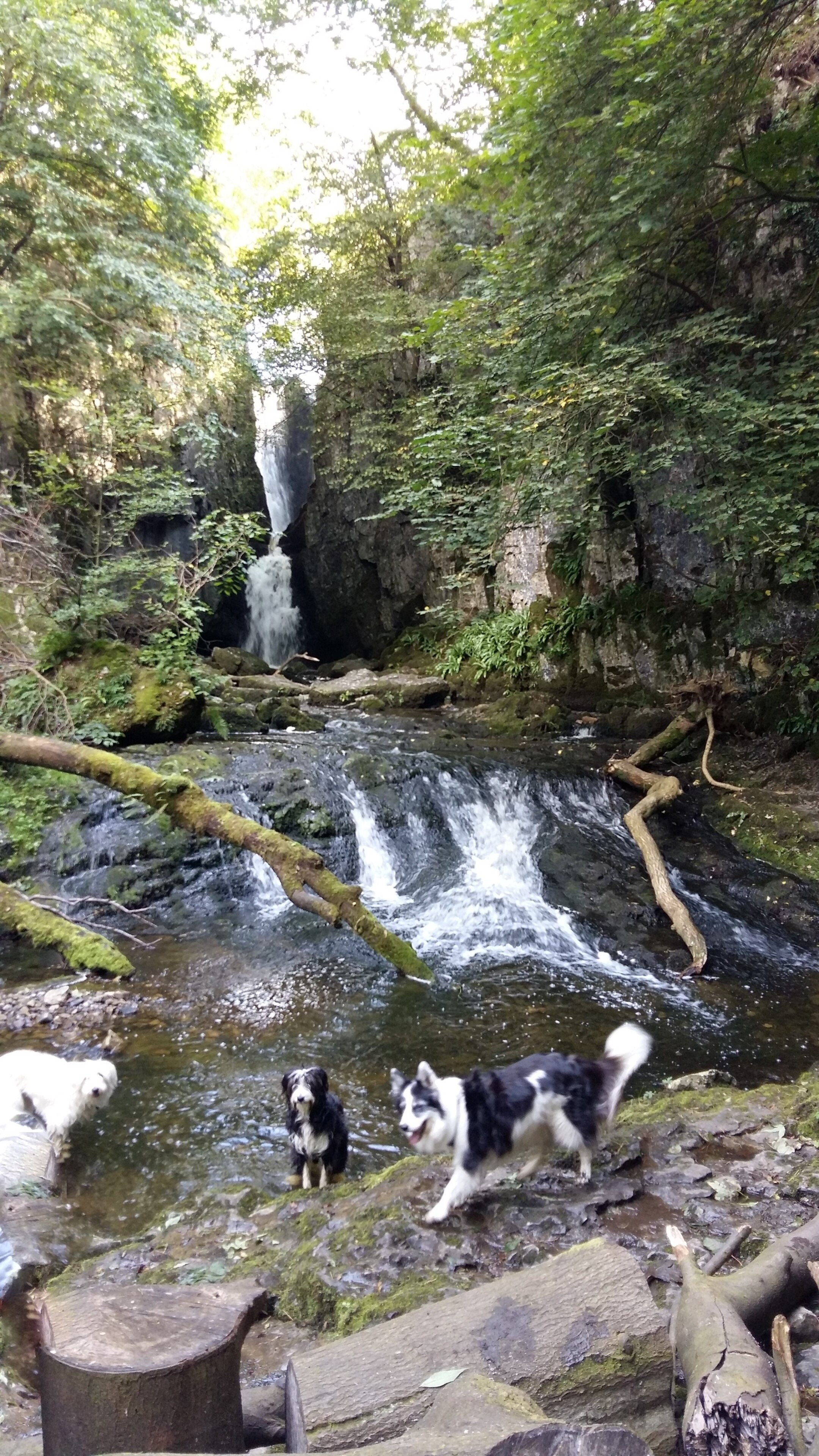 Foto av Catherine Slee