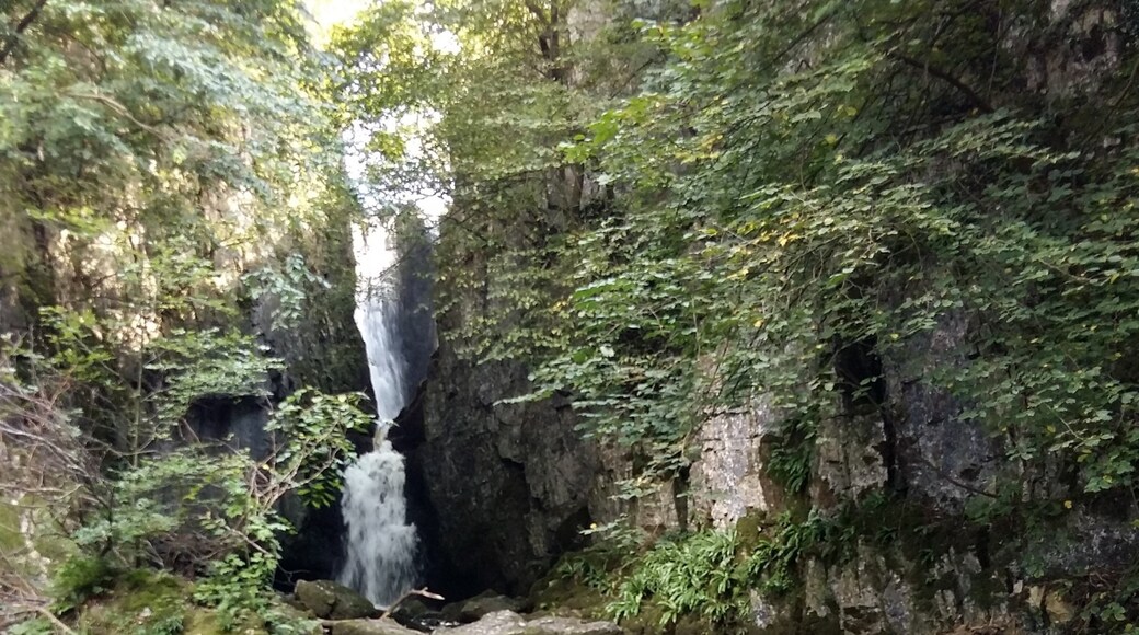 Foto de Catherine Slee