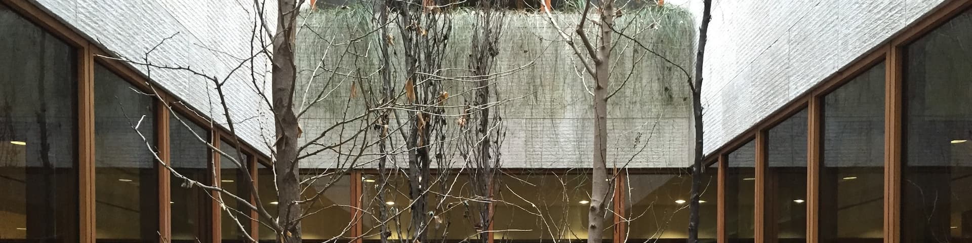 Philly's Barnes foundation is full of incredible art, but below the museum just as incredible of a view.  Head to the lower level to see this beautiful atrium.   #lifeatexpedia