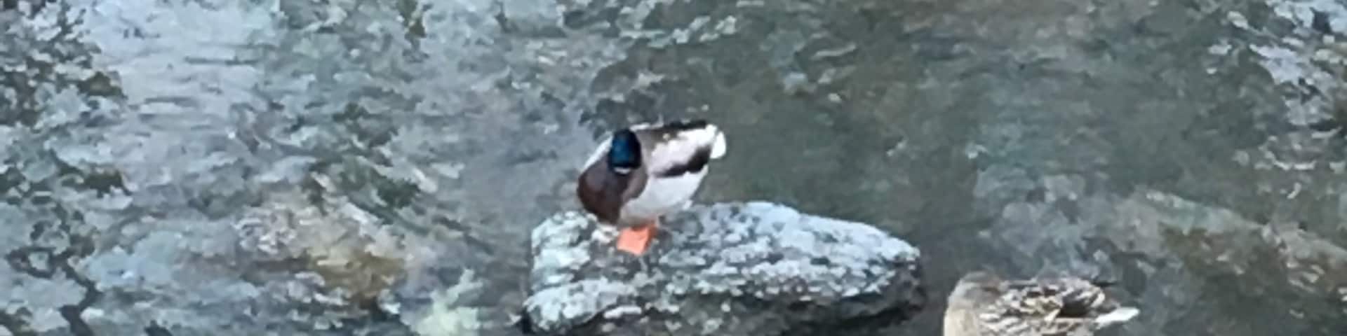 Awesome climate# morning side park#love toronto