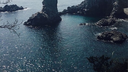 写真提供者 : Karen Hamrick