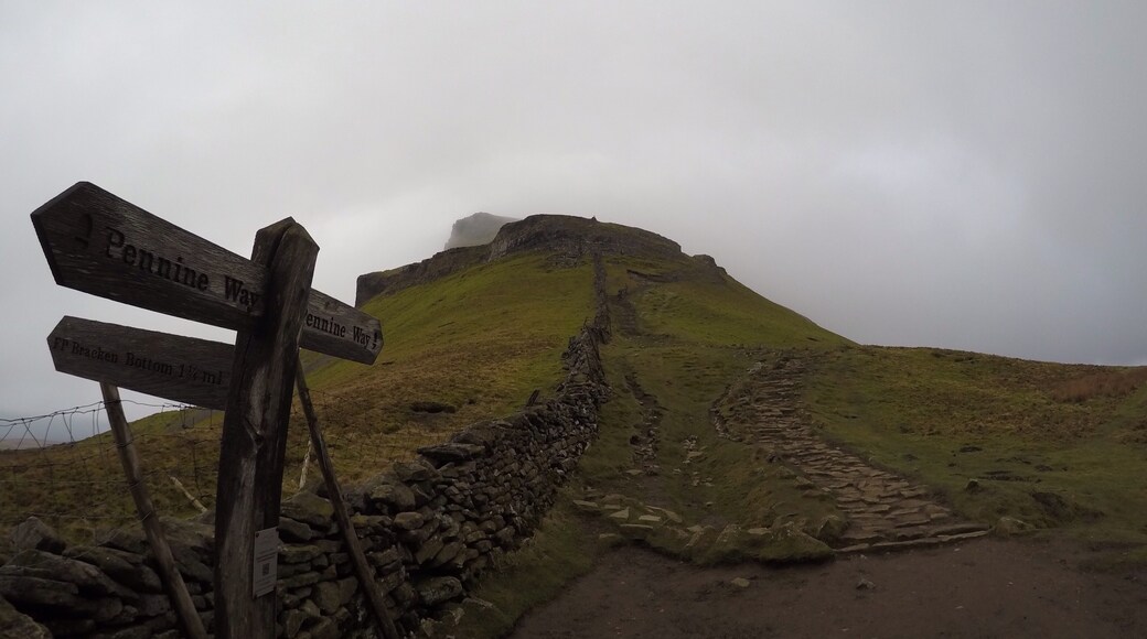 Foto tomada por Sarah Harker