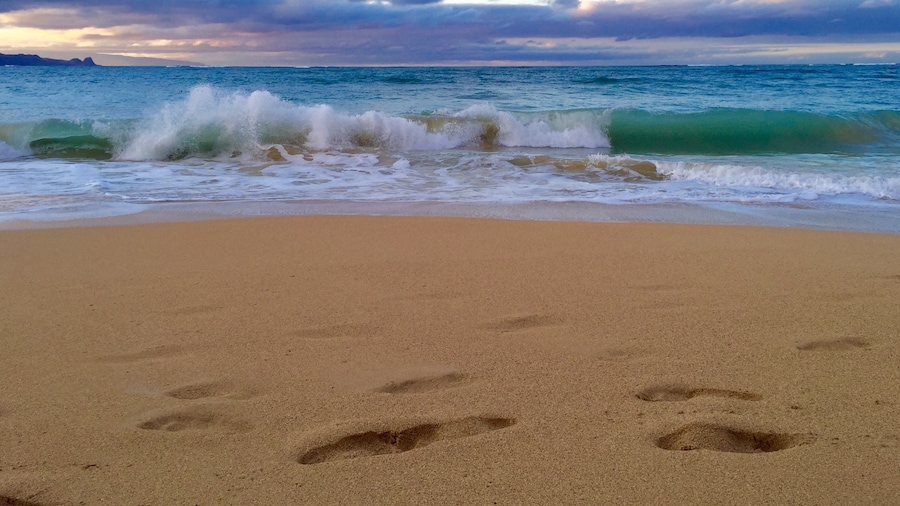 Playa Baldwin
