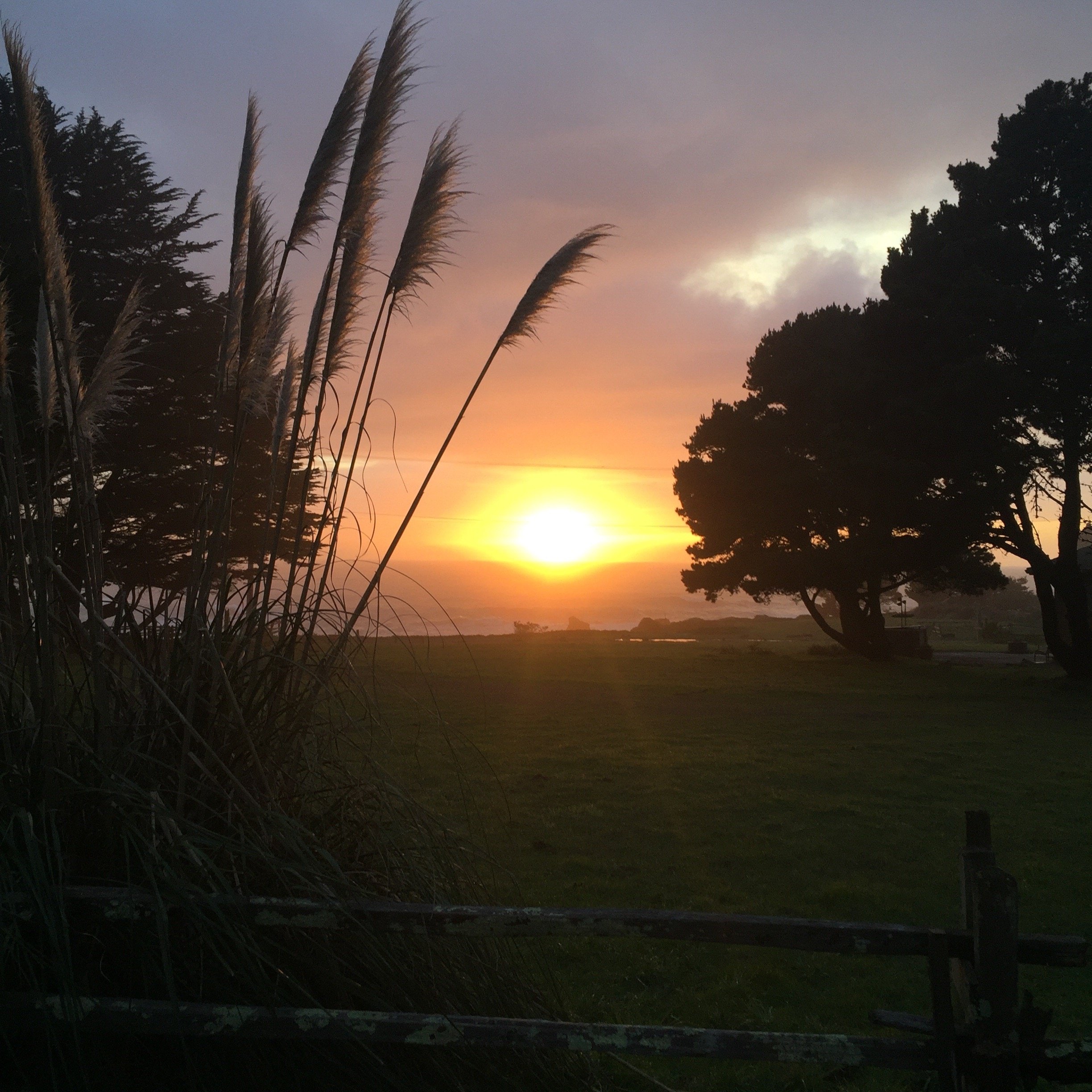 If the fog hasn't rolled
In and the clouds let it creep through you can always catch a wonderful sunset right here in the beautiful northern coast of California!! 