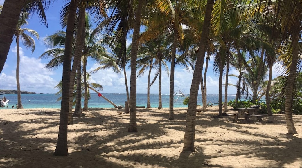 La Désirade, Grande-Terre, Guadeloupe