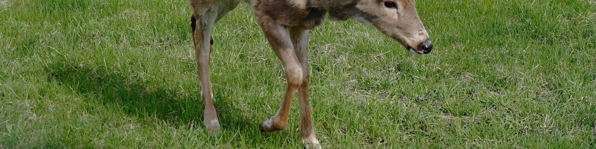 Waterford, Nueva York, Estados Unidos