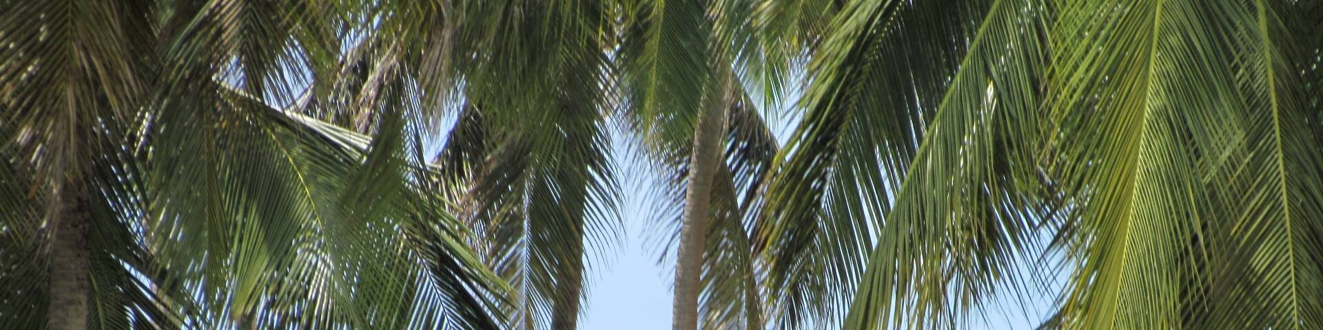 After the safari, we spent a couple days in the shade relaxing and reading.  #beach