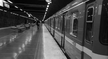 Silent and quiet in the morning, the metro station in Hjulsta.