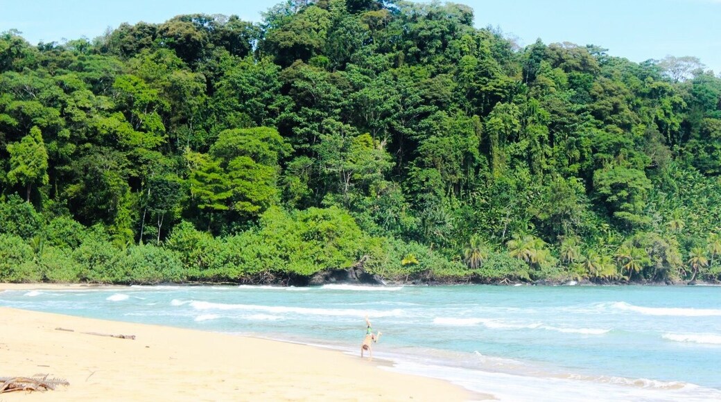 Wizard Beach, Isla Bastimentos, Bocas del Toro Province, Panama