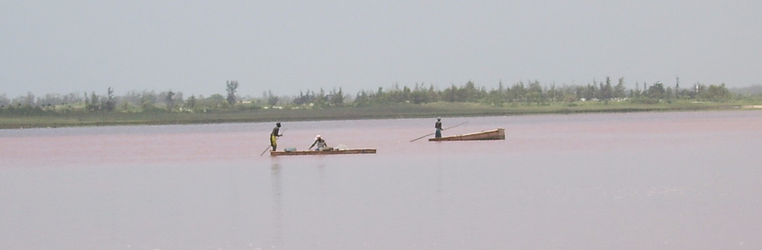 Niaga, Szenegál