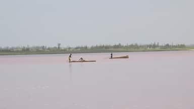 Special algae cause the lake to appear pink